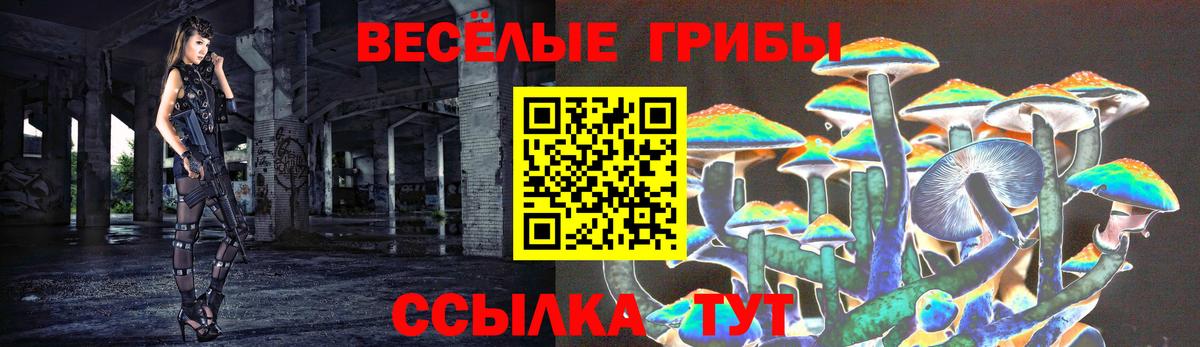 Галлюциногенные грибы мухоморы Армавир